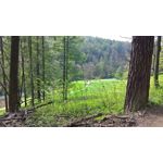 用戶照片 Microsoft Lumia 950 XL Dual SIM