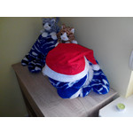 來自這款手機的圖片