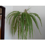 來自這款手機的圖片