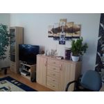 來自這款手機的圖片