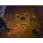 FOTO FATTE CON QUESTO TELEFONO