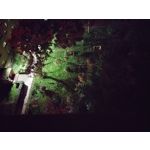 Pictures by this phone Motorola Defy 2021 Pictures by this phone Motorola Defy 2021