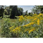 Pictures by this phone Motorola Defy 2021 Pictures by this phone Motorola Defy 2021