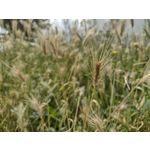 Pictures by this phone Motorola Defy 2021 Pictures by this phone Motorola Defy 2021