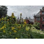 Pictures by this phone Motorola Defy 2021 Pictures by this phone Motorola Defy 2021