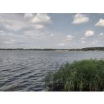 Pictures by this phone Motorola Defy 2021 Pictures by this phone Motorola Defy 2021