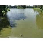 Pictures by this phone Motorola Defy 2021 Pictures by this phone Motorola Defy 2021