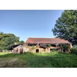 來自這款手機的圖片