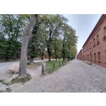 Imágenes de los usuarios Motorola Edge 30 Neo Imágenes de los usuarios Motorola Edge 30 Neo