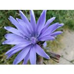 Imágenes de los usuarios Motorola Edge 30 Neo Imágenes de los usuarios Motorola Edge 30 Neo