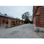 Imágenes de los usuarios Motorola Edge 30 Neo Imágenes de los usuarios Motorola Edge 30 Neo