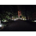 Imágenes de los usuarios Motorola Edge 30 Neo Imágenes de los usuarios Motorola Edge 30 Neo