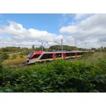 Imágenes de los usuarios Motorola Edge 30 Neo Imágenes de los usuarios Motorola Edge 30 Neo