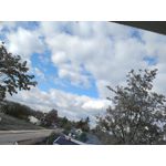 Imágenes de los usuarios Motorola Edge 30 Neo Imágenes de los usuarios Motorola Edge 30 Neo