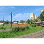 Imágenes de los usuarios Motorola Edge 30 Neo Imágenes de los usuarios Motorola Edge 30 Neo