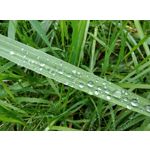 Imágenes de los usuarios Motorola Edge 30 Neo Imágenes de los usuarios Motorola Edge 30 Neo