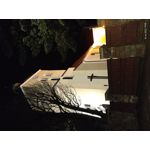 Imágenes de los usuarios Motorola Edge 30 Neo Imágenes de los usuarios Motorola Edge 30 Neo