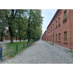 Imágenes de los usuarios Motorola Edge 30 Neo Imágenes de los usuarios Motorola Edge 30 Neo