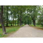 Imágenes de los usuarios Motorola Edge 30 Neo Imágenes de los usuarios Motorola Edge 30 Neo