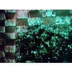 Imágenes de los usuarios Motorola Edge 30 Neo Imágenes de los usuarios Motorola Edge 30 Neo