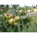 Imágenes de los usuarios Motorola Edge 30 Neo Imágenes de los usuarios Motorola Edge 30 Neo