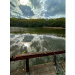 Imágenes de los usuarios Motorola Edge 30 Neo Imágenes de los usuarios Motorola Edge 30 Neo