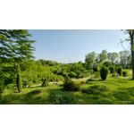 Imágenes de los usuarios Motorola Edge 30 Neo Imágenes de los usuarios Motorola Edge 30 Neo