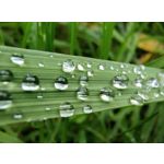 Imágenes de los usuarios Motorola Edge 30 Neo Imágenes de los usuarios Motorola Edge 30 Neo