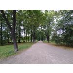 Imágenes de los usuarios Motorola Edge 30 Neo Imágenes de los usuarios Motorola Edge 30 Neo