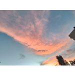 Imágenes de los usuarios Motorola Edge 30 Neo Imágenes de los usuarios Motorola Edge 30 Neo