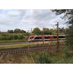 Imágenes de los usuarios Motorola Edge 30 Neo Imágenes de los usuarios Motorola Edge 30 Neo