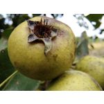 Imágenes de los usuarios Motorola Edge 30 Neo Imágenes de los usuarios Motorola Edge 30 Neo