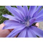 Imágenes de los usuarios Motorola Edge 30 Neo Imágenes de los usuarios Motorola Edge 30 Neo