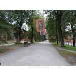 Imágenes de los usuarios Motorola Edge 30 Neo Imágenes de los usuarios Motorola Edge 30 Neo