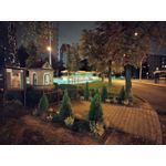 Imágenes de los usuarios Motorola Edge 30 Neo Imágenes de los usuarios Motorola Edge 30 Neo