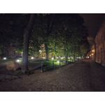 Imágenes de los usuarios Motorola Edge 30 Neo Imágenes de los usuarios Motorola Edge 30 Neo