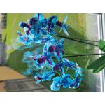 來自這款手機的圖片