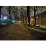 来自这款手机的图片