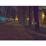 来自这款手机的图片