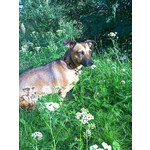 Foto dei utenti Motorola KRZR k1 Foto dei utenti Motorola KRZR k1