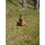 FOTOS AUS DIESEM HANDY