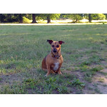 FOTOS AUS DIESEM HANDY