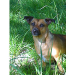 FOTOS AUS DIESEM HANDY