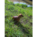 FOTOS AUS DIESEM HANDY