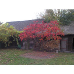 来自这款手机的图片