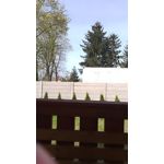 PICTURES FROM THIS PHONE