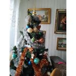 来自这款手机的图片