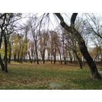 PICTURES FROM THIS PHONE