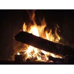 LAS FOTOS HECHAS CON ESTE TELÉFONO