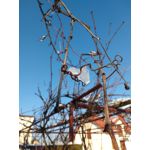 IMAGENS DESTE TELEFONE